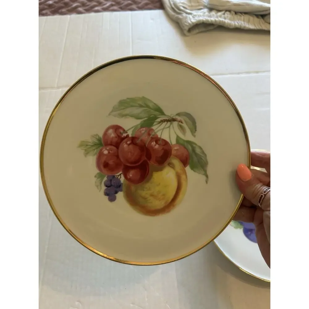 Vtg PORZELLANFABRIK ARZBERG Set Of 2 FRUIT 8” PLATES Wall Bone China Gold Rim